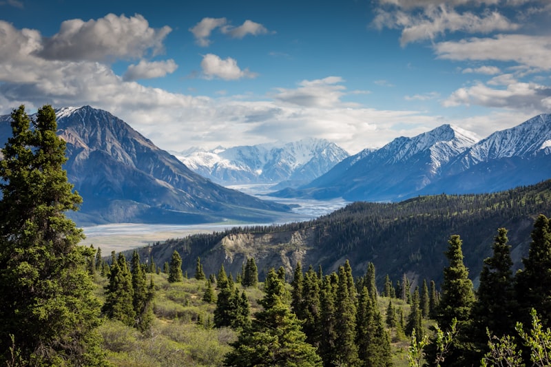 Snow-capped mountain valley above an evergreen forest