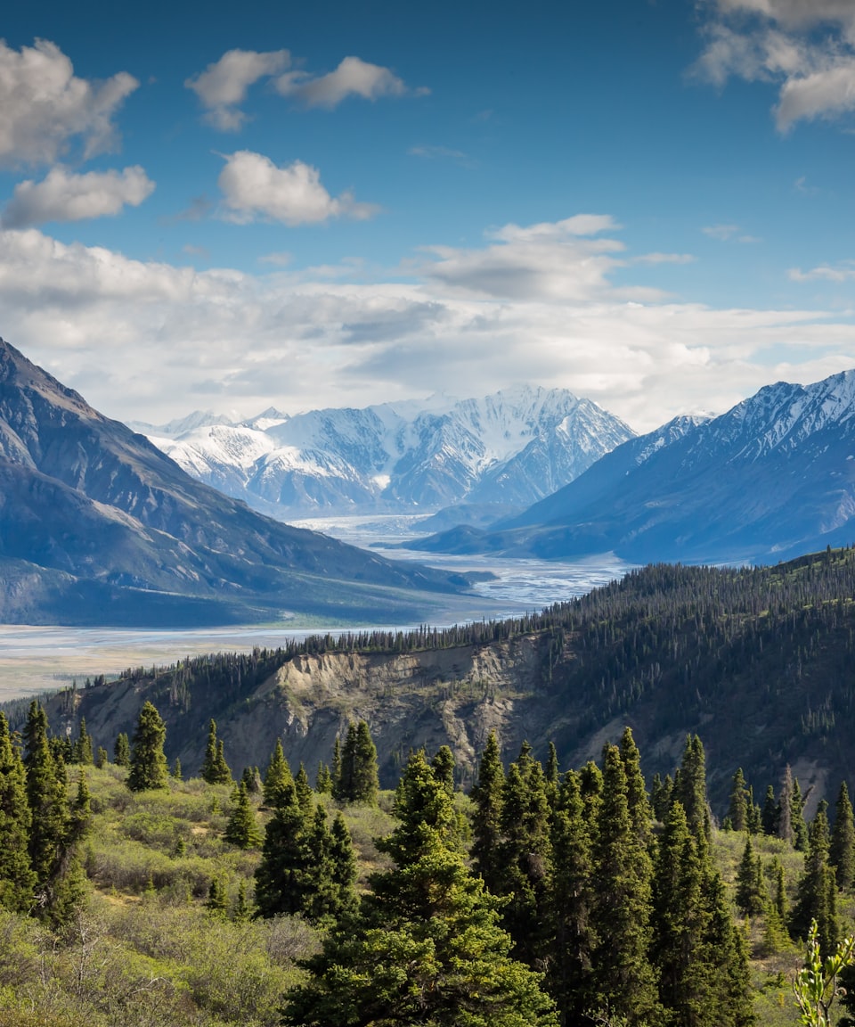 Snow-capped mountain valley above an evergreen forest