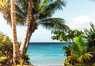 Island trip photo 2